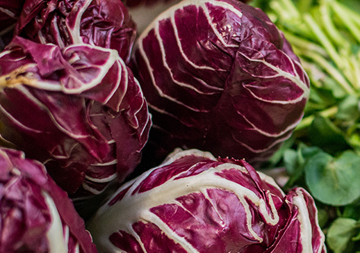 Radicchio and Blood Orange Salad – Old Town Olive