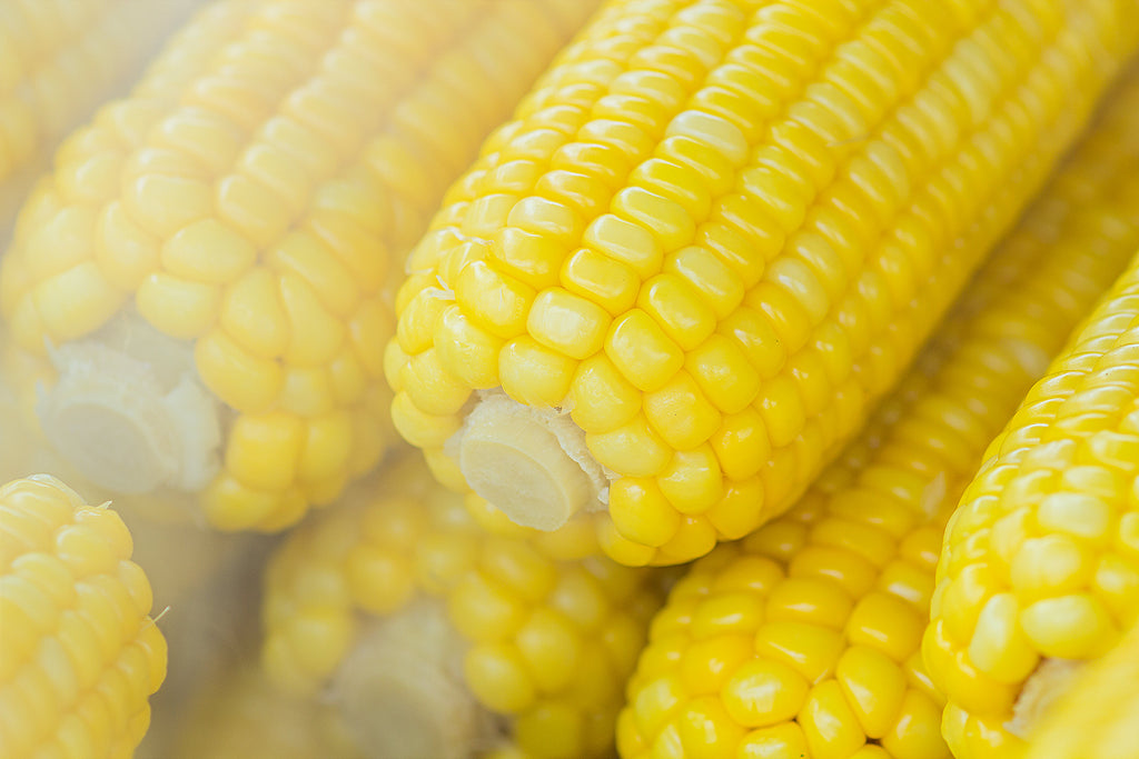 Slow Cooker Corn on the Cob